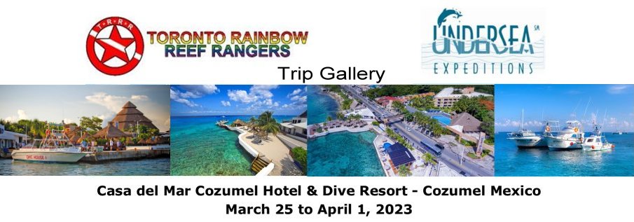 Cozumel 2023 Trip Gallery